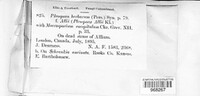 Image Associated With the Occurence